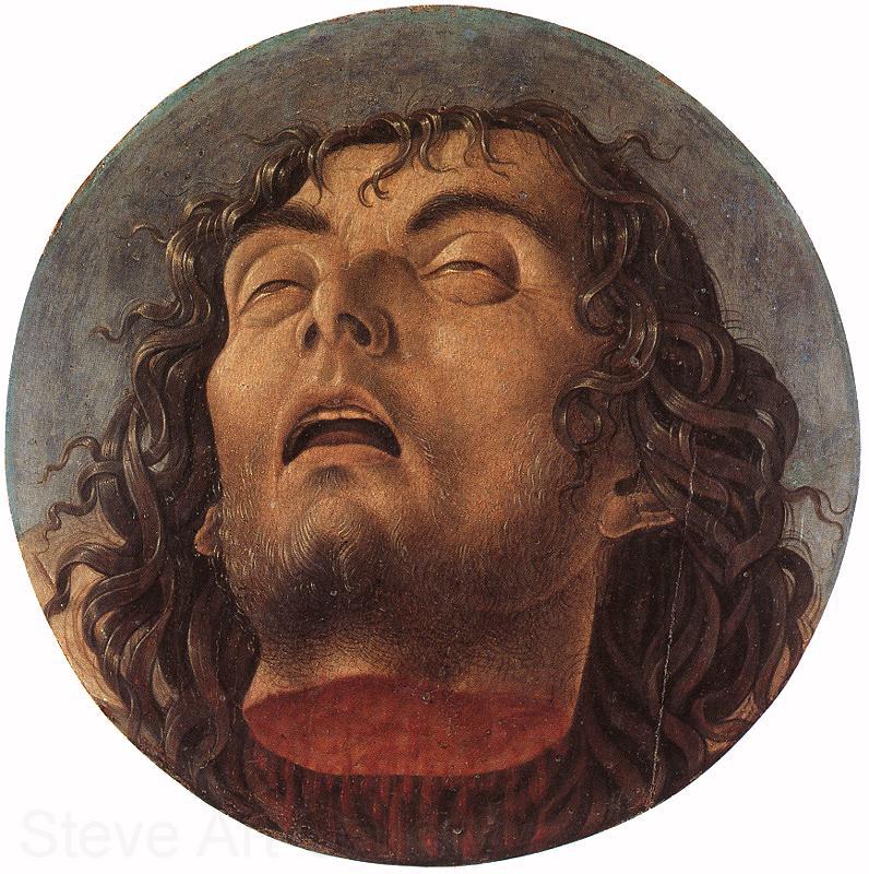 BELLINI, Giovanni Head of the Baptist 223